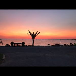 Meet your Posher, Patrick